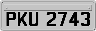 PKU2743