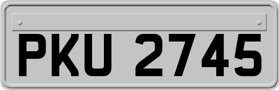 PKU2745