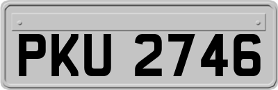 PKU2746