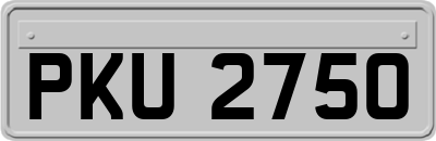 PKU2750