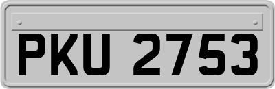 PKU2753
