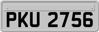 PKU2756