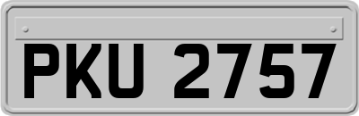 PKU2757