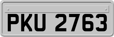 PKU2763