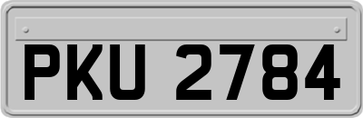 PKU2784