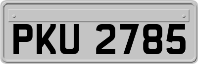 PKU2785