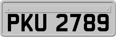 PKU2789