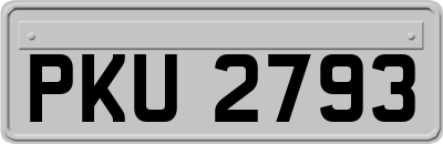 PKU2793