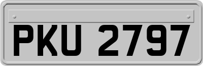 PKU2797