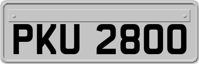 PKU2800