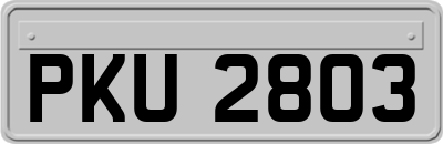 PKU2803