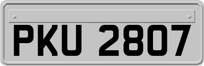 PKU2807