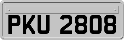 PKU2808