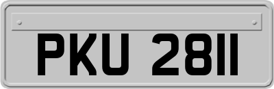 PKU2811
