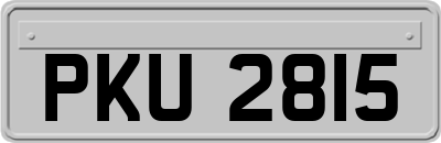 PKU2815