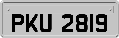 PKU2819