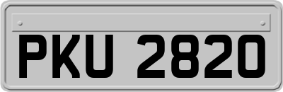 PKU2820