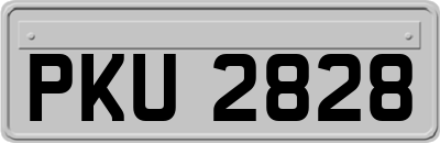 PKU2828