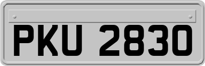 PKU2830