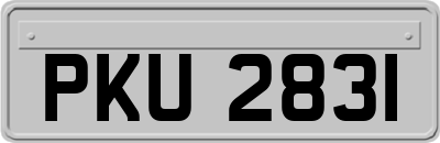 PKU2831