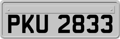 PKU2833
