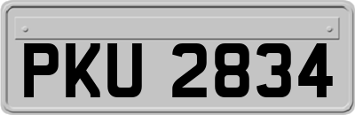 PKU2834