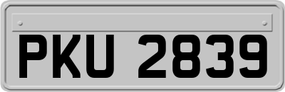 PKU2839