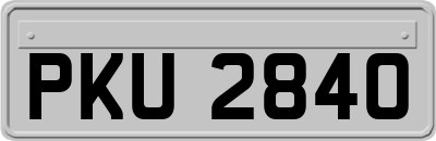 PKU2840