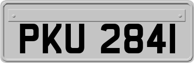 PKU2841