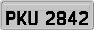 PKU2842