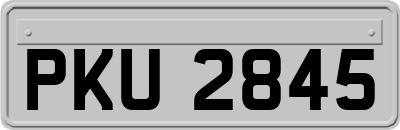 PKU2845
