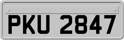 PKU2847