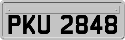 PKU2848
