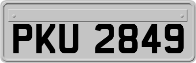 PKU2849