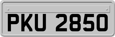 PKU2850