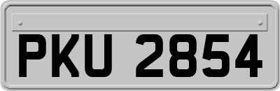 PKU2854