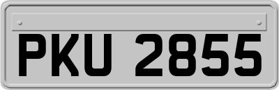 PKU2855