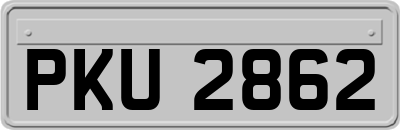 PKU2862