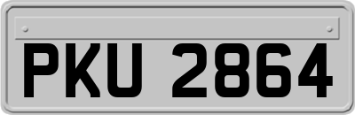 PKU2864