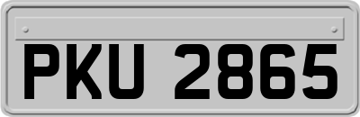 PKU2865