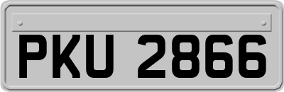 PKU2866