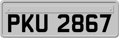 PKU2867