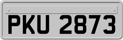 PKU2873