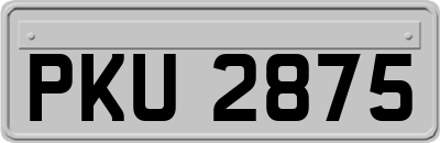 PKU2875