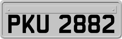 PKU2882
