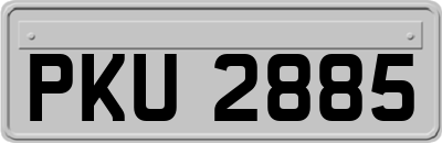 PKU2885