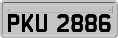 PKU2886