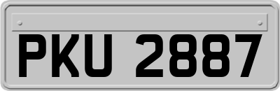 PKU2887