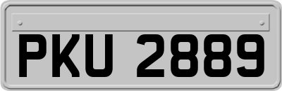 PKU2889