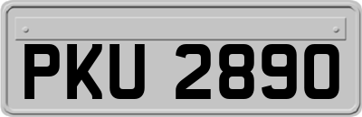 PKU2890